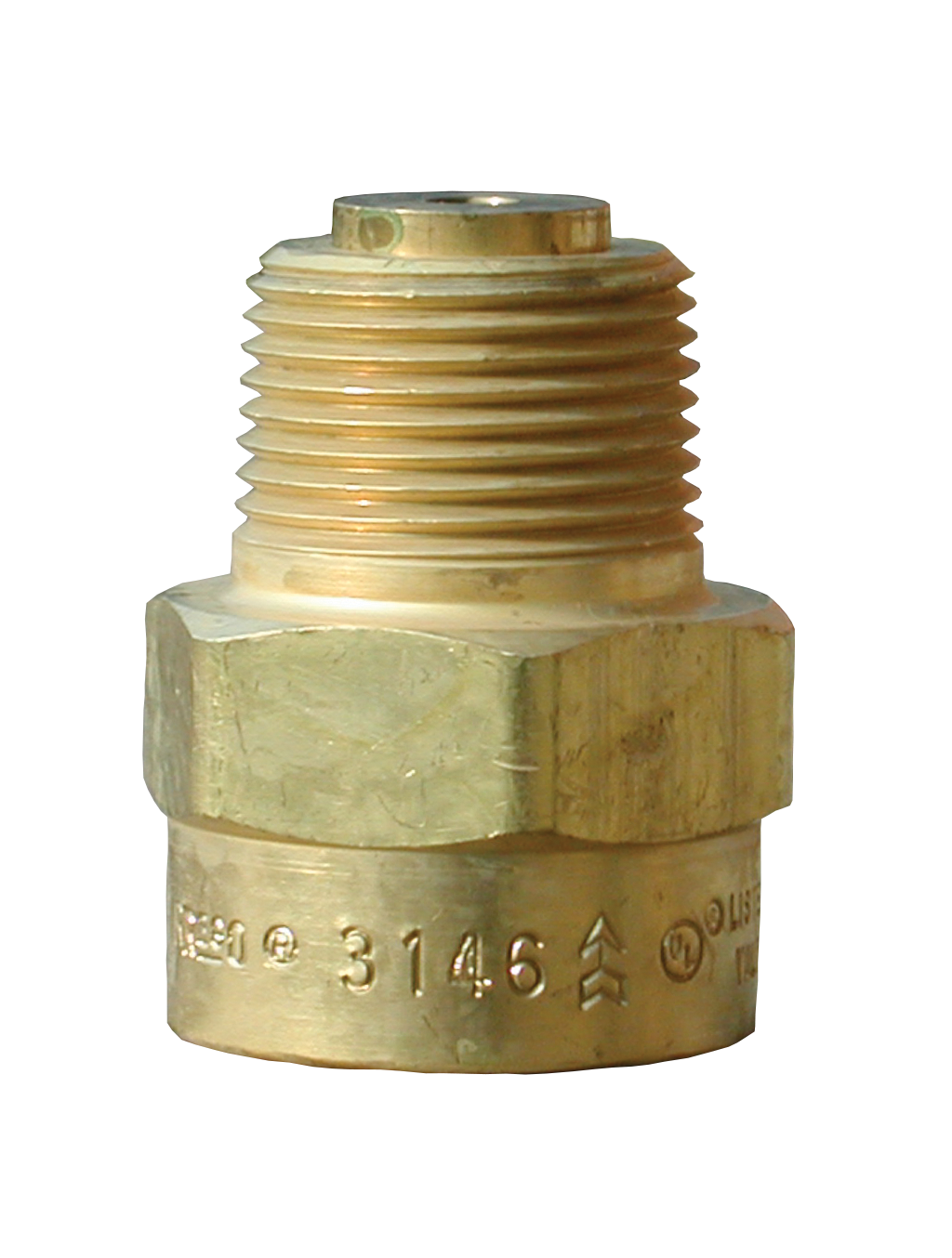VLV BKCHK .75FPX.75MP - Back Check Valves for Container or Line Applications